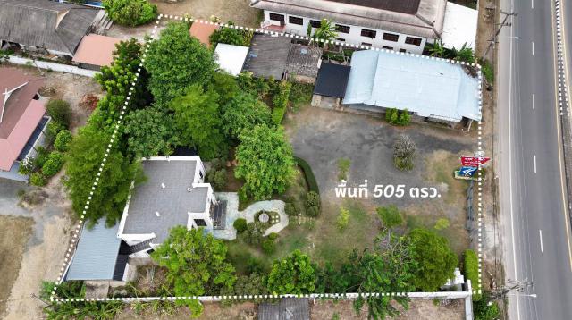 ขายที่ดิน ติดถนนหลัก เชียงใหม่ แม่ริม แม่แตง